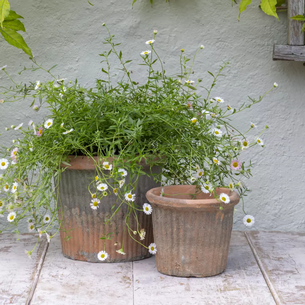 Ribbed Terracotta Pot